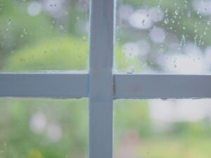 なぜ雨の日に塗装を避けるのか?