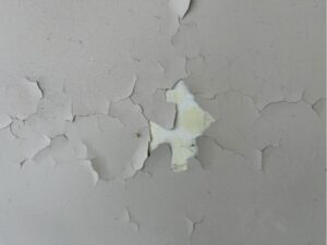 外壁塗膜の激しい剥がれと劣化