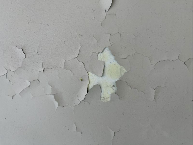 【外壁塗装】なぜ塗装が剥がれるの？主な原因と見つけた時の正しい対処法