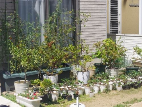 貝塚市で外壁塗装が始まる前に｜家の周りはどこまで片付ければいい？